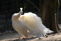 きれいに写して