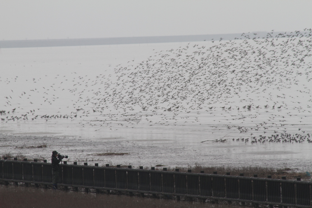 なに見てんのかな？