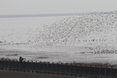 なに見てんのかな？