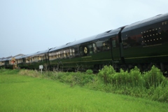 こんな星あったかな