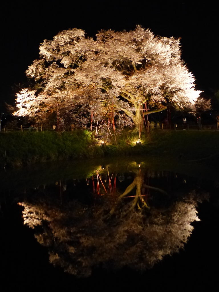 上下で2本