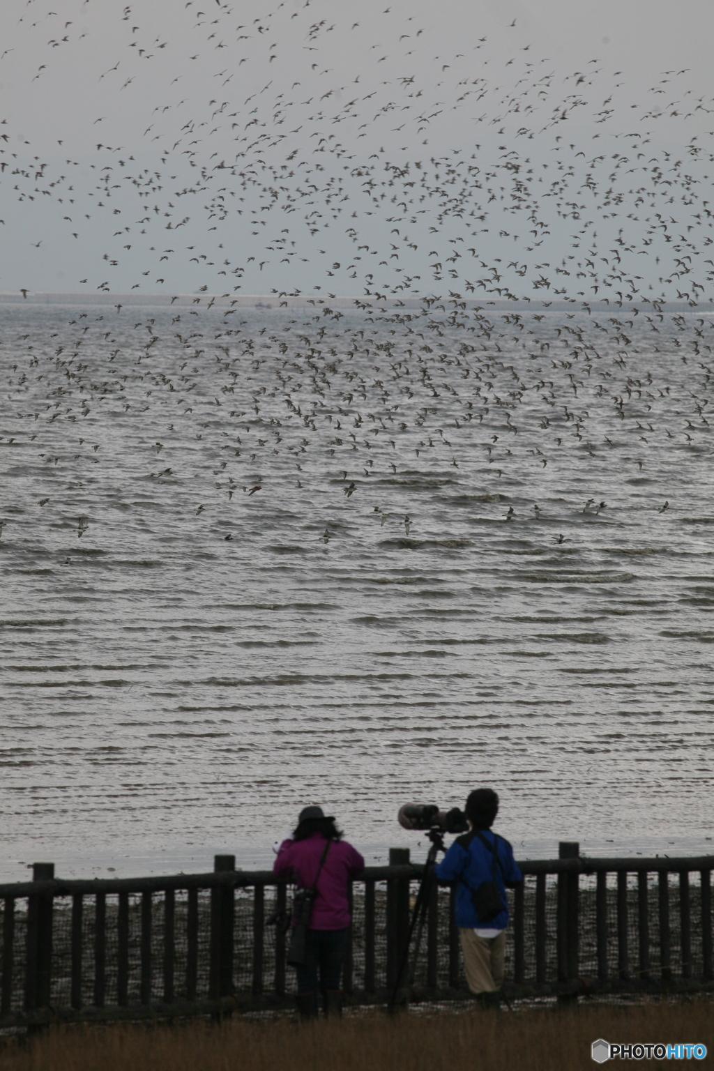 名古屋から３日間予定らしいです