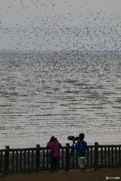 名古屋から３日間予定らしいです