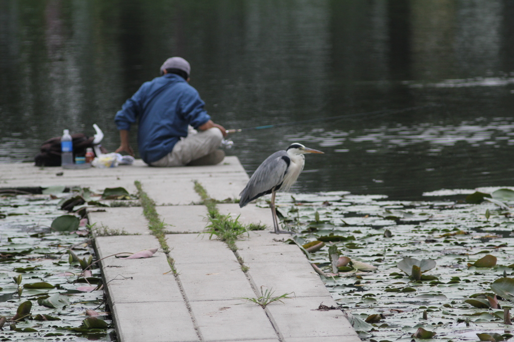 今日はダメみたい
