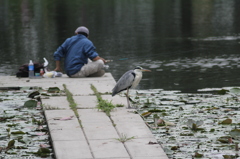 今日はダメみたい