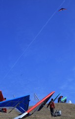 きれいな画像で