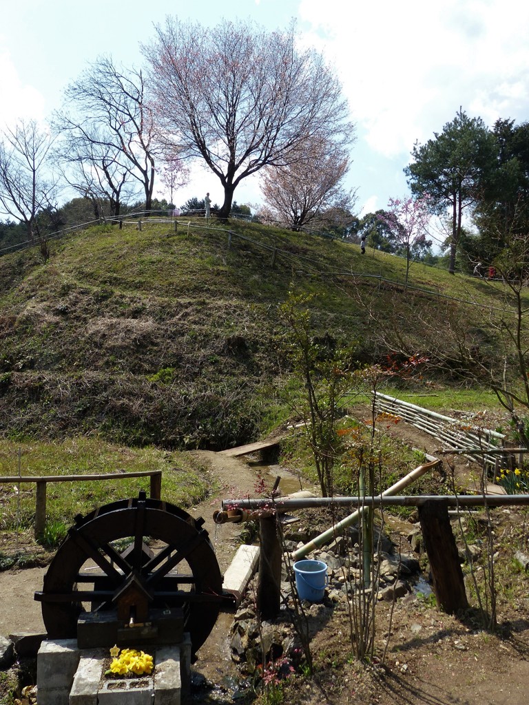 地元の人の保存活動で