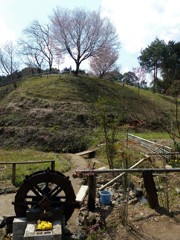 地元の人の保存活動で