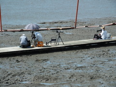 カメラの熱中症ですね
