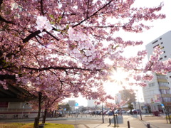 よかとこでしょ