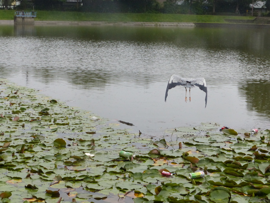 かぎかっこ　[　]
