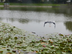 かぎかっこ　[　]