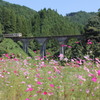 よかとこ