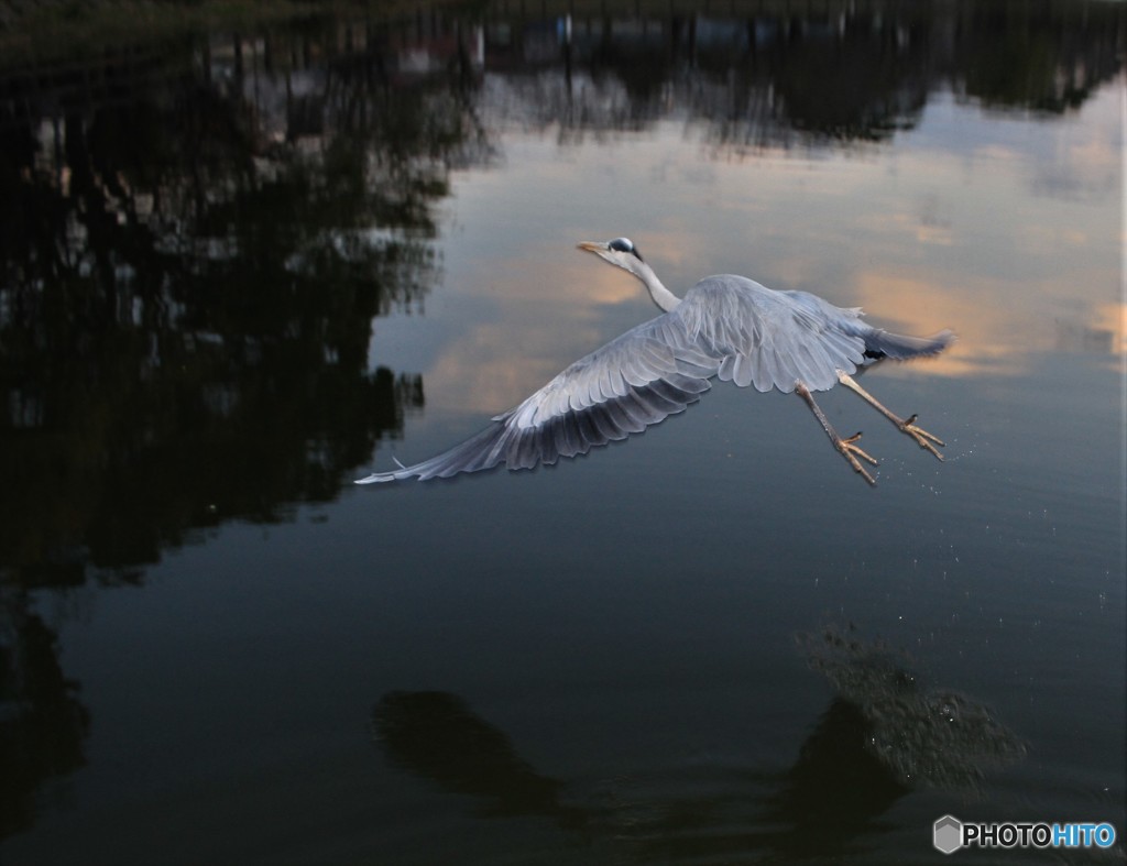 まぶしくてゴメン
