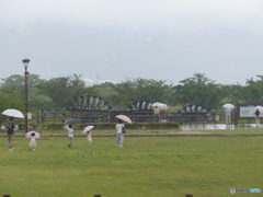 久留米は全く降ってませんが