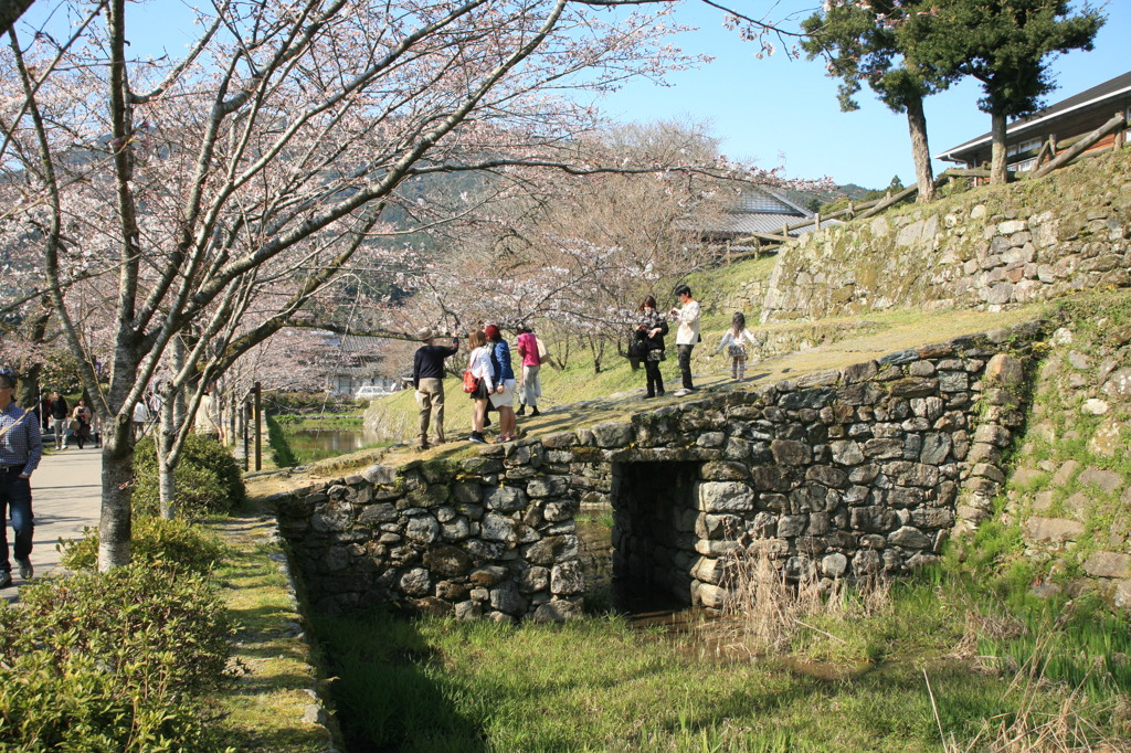 中国からの観光客みたい