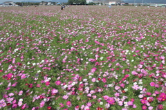 まだ背が低かったです