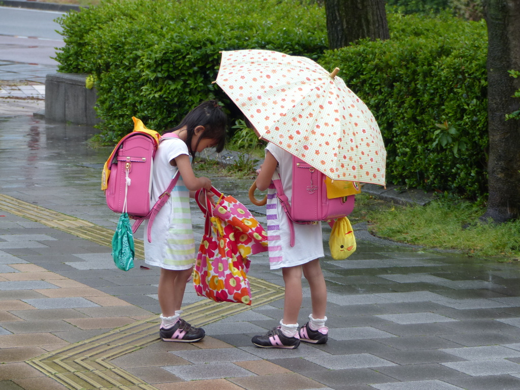 かさ持ってないと？