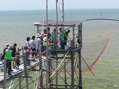 エイが取れたけど