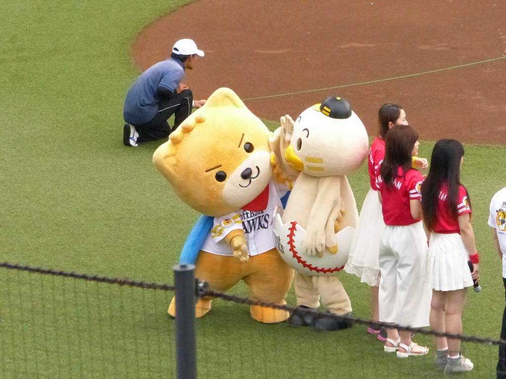 ヤングホークス