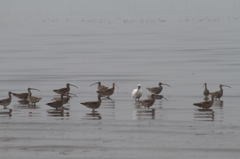 え、お呼びでない