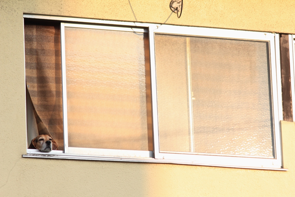 ワンルーム日当たり最高