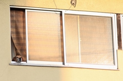 ワンルーム日当たり最高