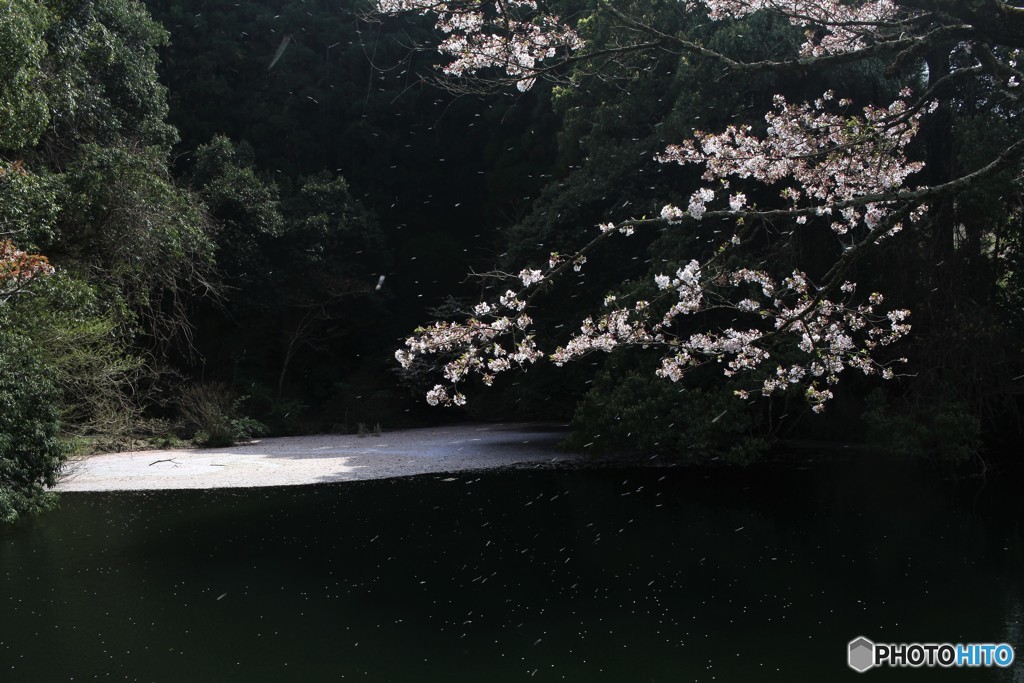 源さんの秘密場所