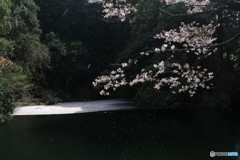 源さんの秘密場所