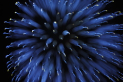 ブルーがきれい