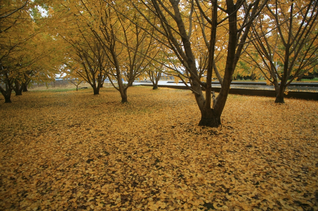 ここは掃除しなくていいのかな？