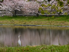 もう帰らなきゃ