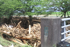 流木がすごいです