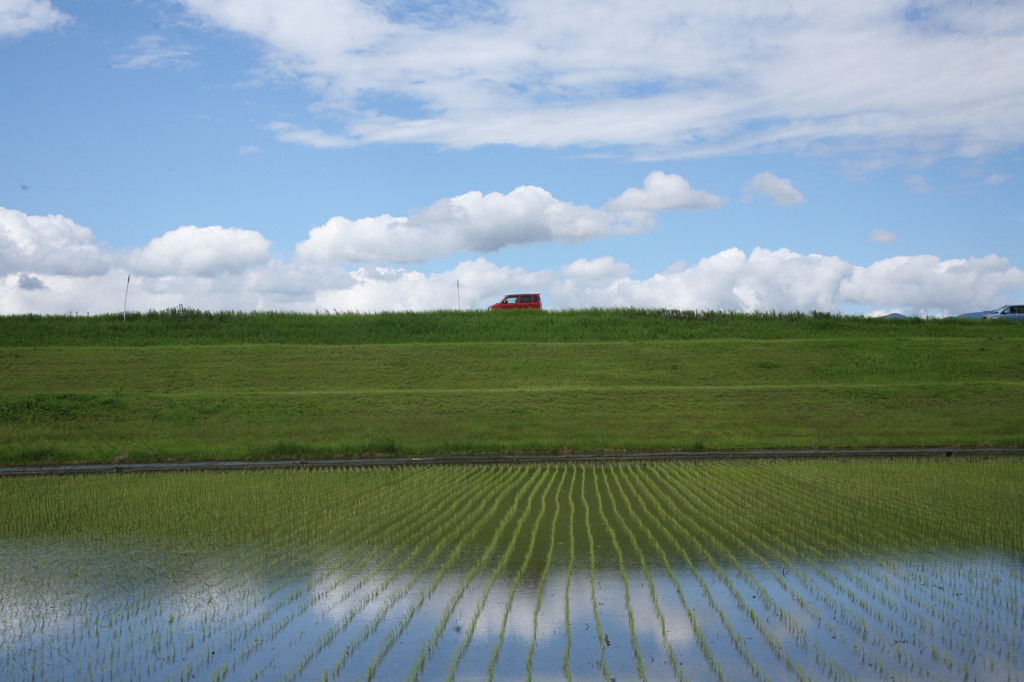 早くこんな天気に
