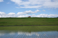 早くこんな天気に 早くこんな天気に