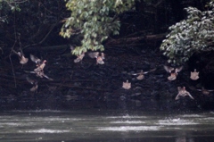 もうすぐ帰るのかも