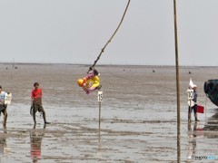 これはいい点でますね