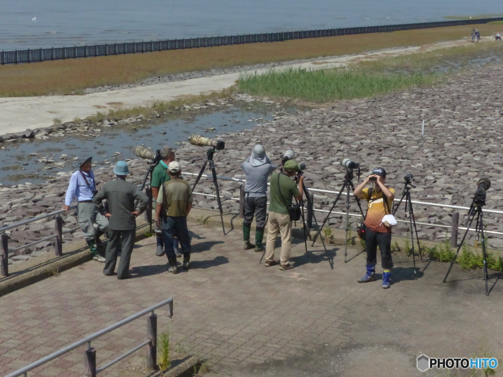 こちらは大砲グループ