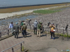 こちらは大砲グループ