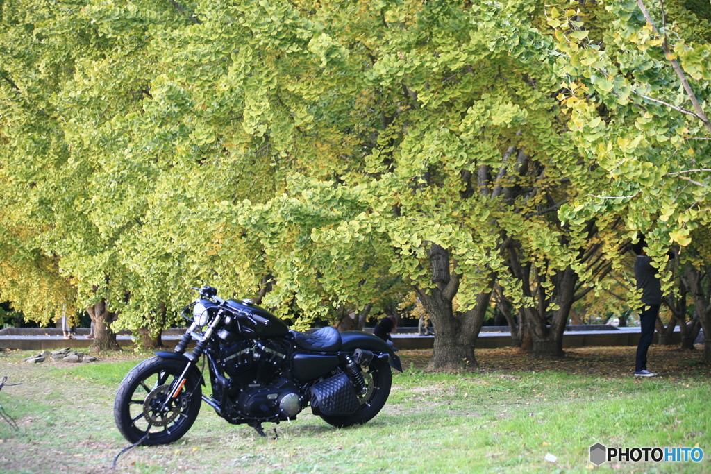 モデルみたいな人乗ってました