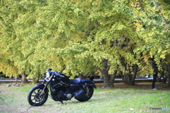 モデルみたいな人乗ってました