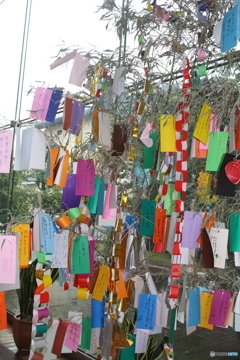 次は3点でお願いします