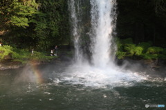 今日の雨はひどい