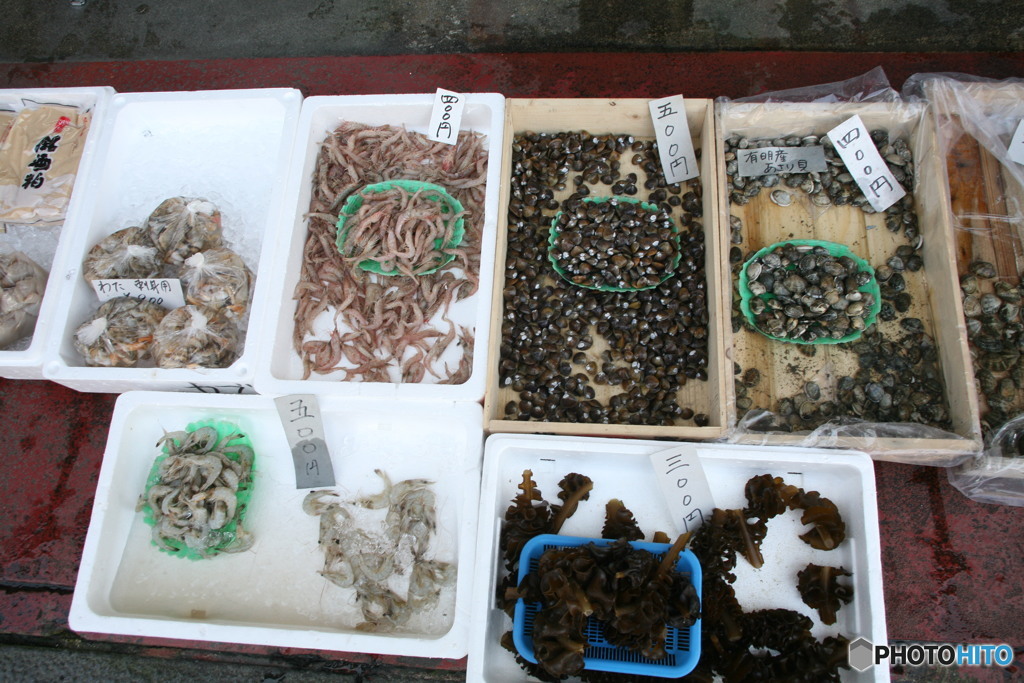 有明海の海産物