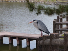 いいとこでしょ