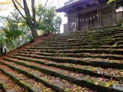 ホーキもってきて