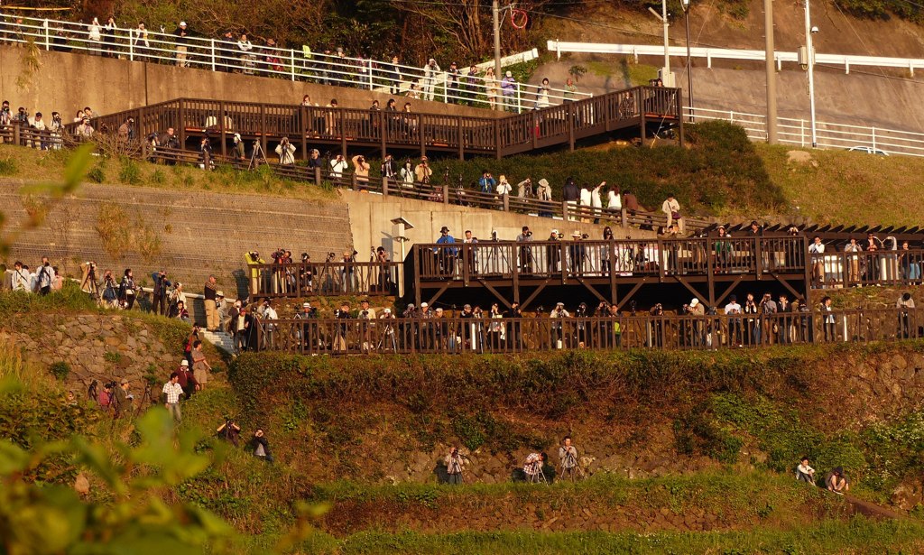 顔にモザイクかけてください