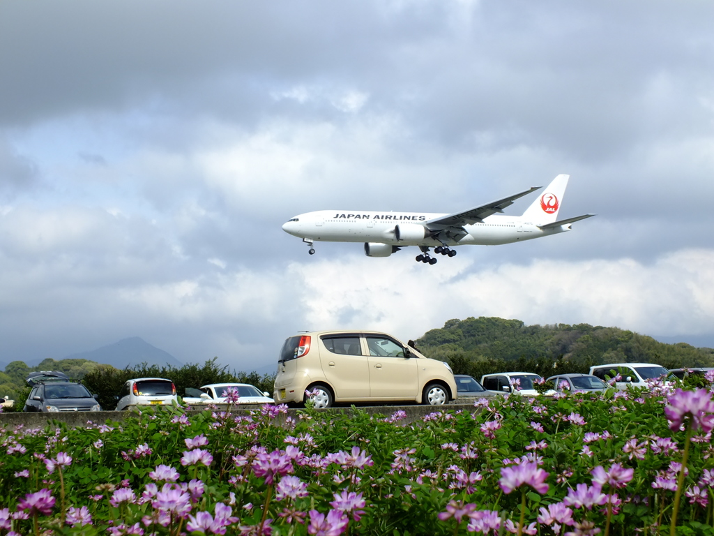 愛車モコ