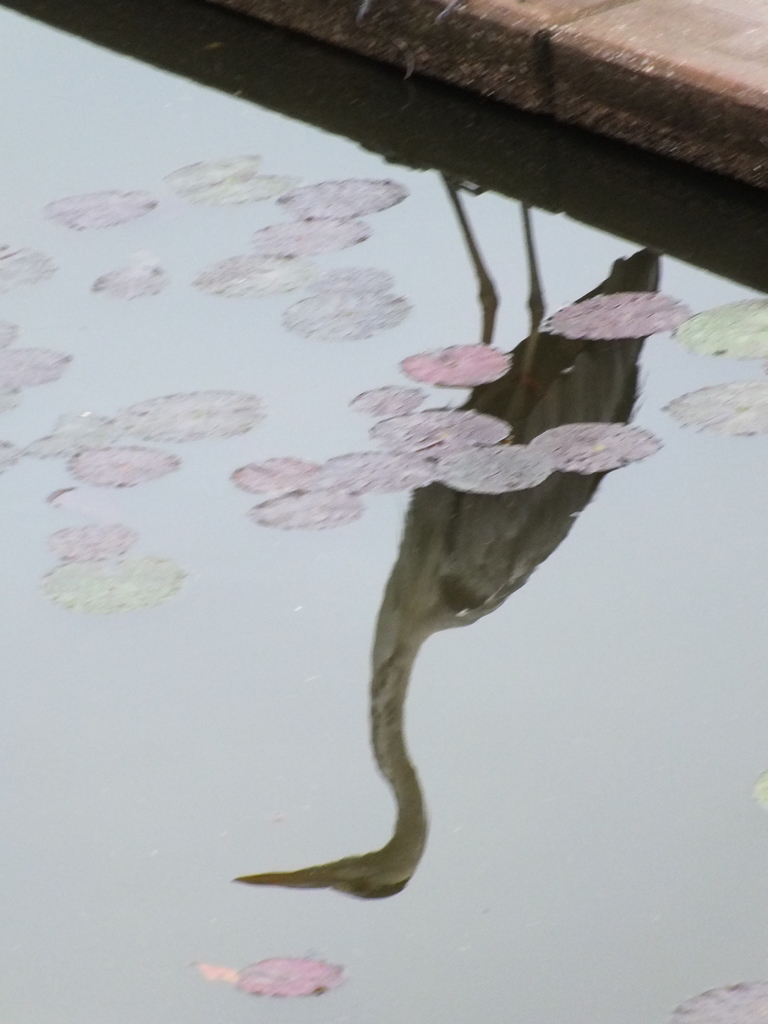 あれ？　アート
