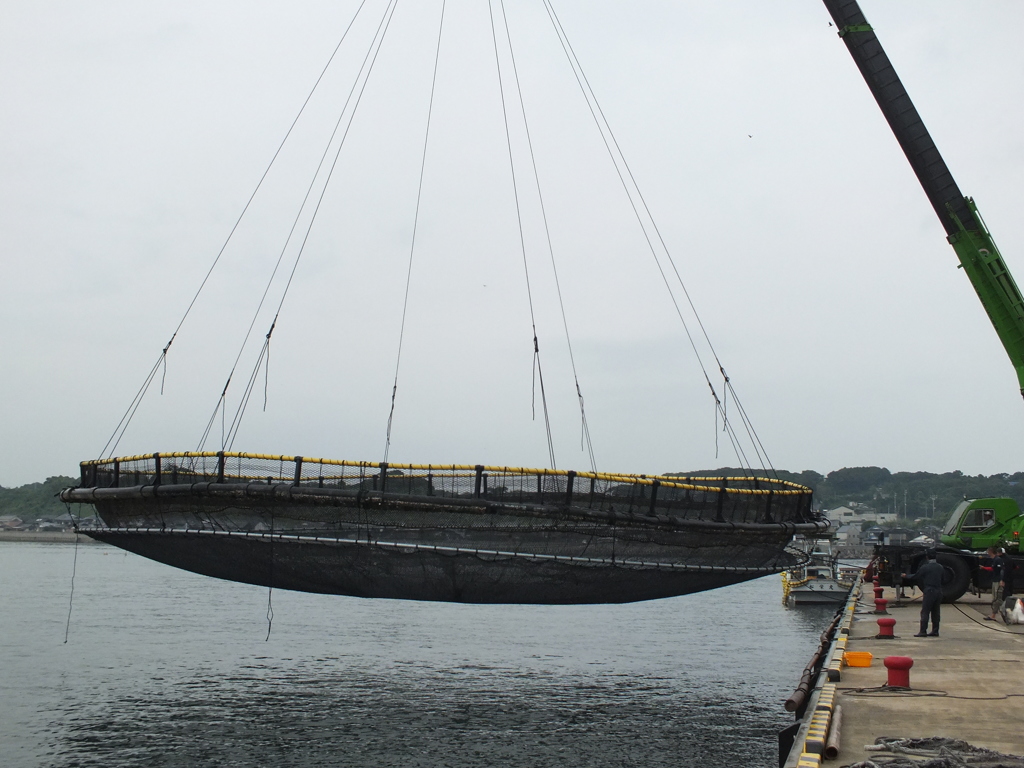 すごい大きさです